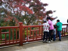 -广州市石门国家森林公园