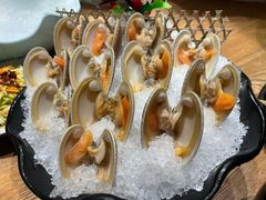 贝类组合-尚海豆捞(乐虹坊店)