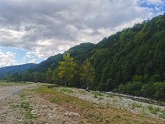 -黑河国家森林公园