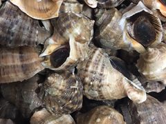 -宾朋海鲜特色美食餐厅·纯手工鲅鱼水饺(兴海路店)