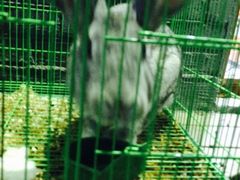 iphone_upload_pic-鬼味烤翅(南锣鼓巷店)