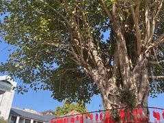 -福建鲤鱼洲酒店