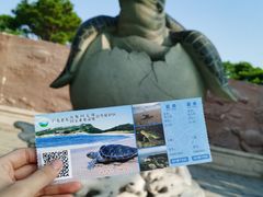 -广东惠东海龟国家级自然保护区