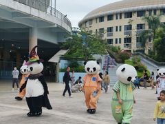 -灵玲国际马戏城