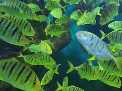 -多彩贵州城极地海洋世界