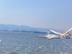 -海埂大坝