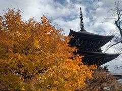 -医王山·飞騨国分寺