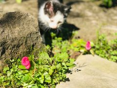 -驿舍·民國老营房院子私房菜(科学会堂店)