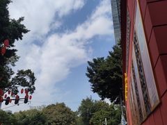-越秀西湖花市(广州城市广场花卉店)