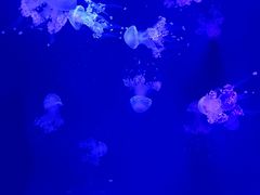 -沈阳海洋探索中心