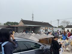 -苏州市吴中区光福窑上花果蜜饯厂