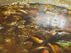 -香樟活鱼馆(渝北店)