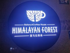 -喜马拉雅森HIMALAYAN FOREST