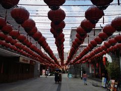 -洋湖国家湿地公园