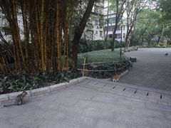 -晓港公园