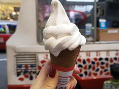 -富豪雪糕车流动点(尖沙咀店)