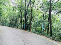 -杭州林泉山庄