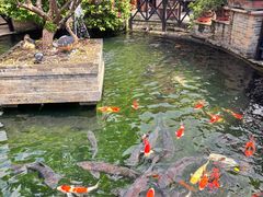 -猪肉婆私房菜(容桂总店)