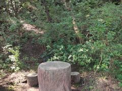 -金堂县云顶石城风景区