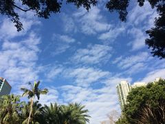 -九龙公园