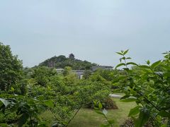 -雅达·阳羡溪山小镇中心