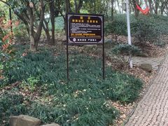 -苏州上方山国家森林公园