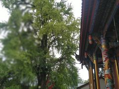 -金堂县云顶石城风景区