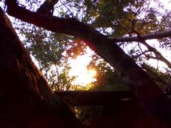 android_upload_pic-小北岩