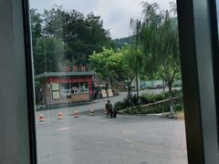 -欢乐松鼠谷
