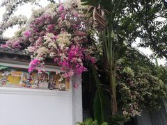 -深圳国际园林花卉博览园