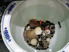 -双季花艺园艺市场(浦东店)