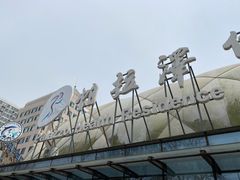 -帕拉泽羽毛球·篮球·乒乓球·健身