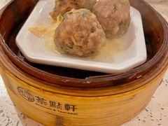 新会陈皮牛肉丸-又一间茶点轩(百汇广场店)