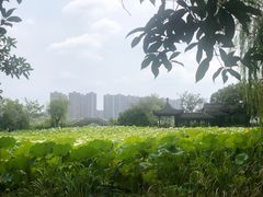 -高子水居