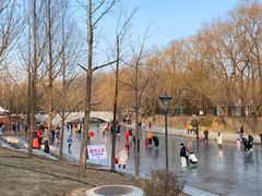 -朝阳公园游乐园