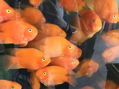 -钱万兴(塔园路店)