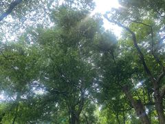 -幕燕滨江·燕子矶公园
