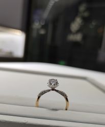 -钻石小鸟钻戒婚戒定制(石路店)