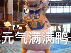 -野狸岛