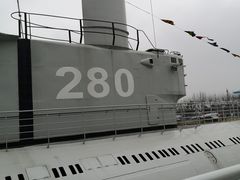-东方绿舟景区