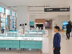 -东北大学附属辽宁爱尔眼科医院