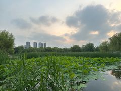 -太阳宫公园
