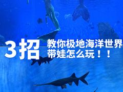 -石家庄极地海洋世界