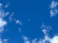 -旗山国家森林公园