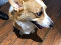 -About Bistro關於·泰式家庭料理