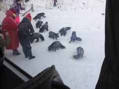 -长白山万达喜来登度假酒店