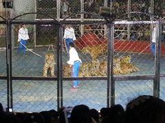 -西安秦岭野生动物园