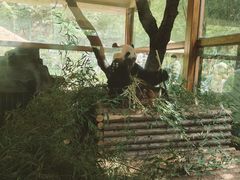 -云南野生动物园