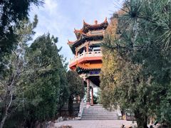 -龙口南山旅游景区
