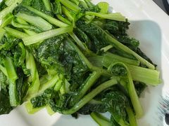 鸡油炒生态小白菜-蔼若春.传承三十年云南菜(金碧公园店)